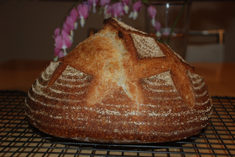 Pain Au Levain with Whole Wheat Pastry Flour The Fresh Loaf